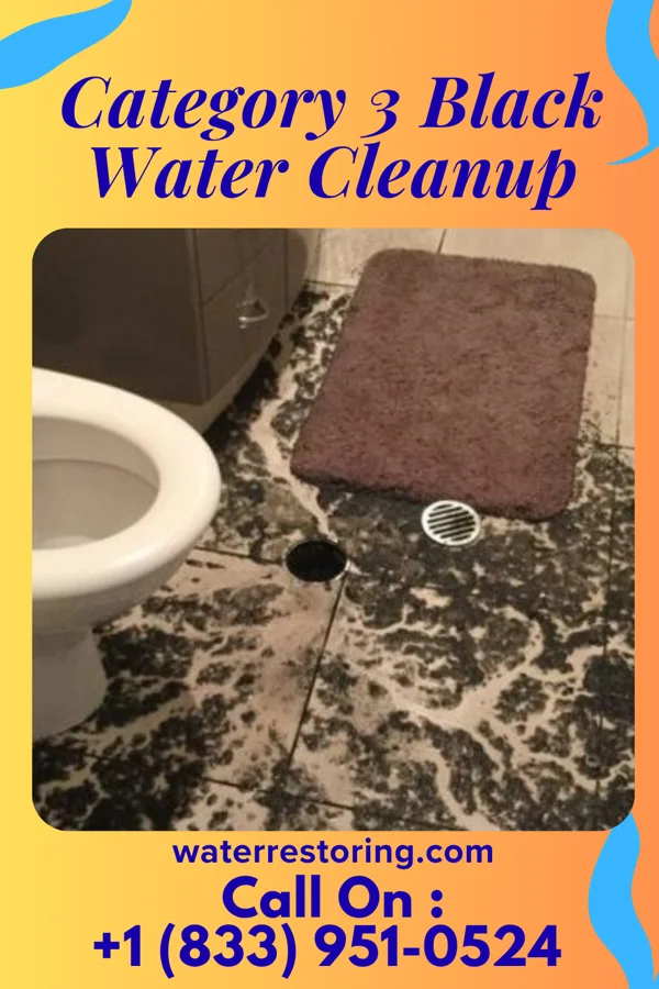 Category 3 Black Water Cleanup in Dublin, GA
