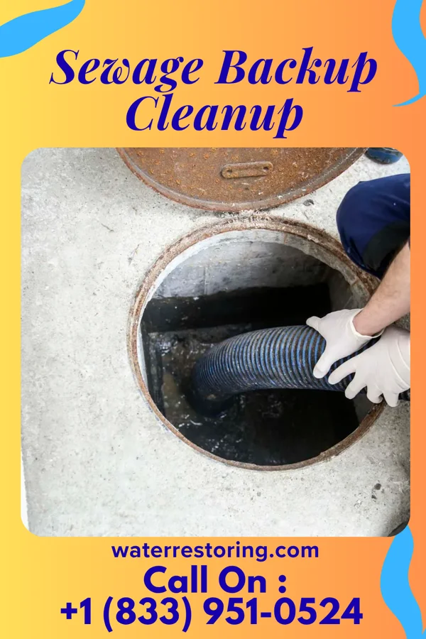 Sewage Backup Cleanup in Dublin, GA