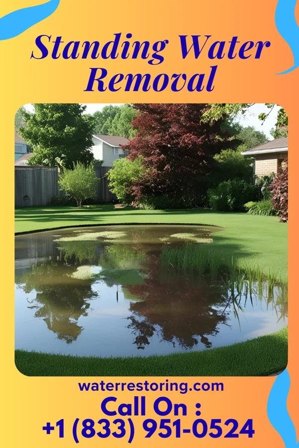 Standing Water Removal in Dublin, GA